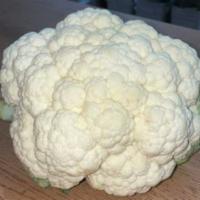 Cauliflower  · Very fresh and around 2.5Lb Head
