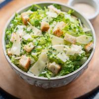 Caesar Salad · organic romaine, shaved parmesan, croutons, caesar dressing (on the side)