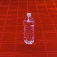 20 oz. Bottled Water · 