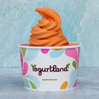 Plant-Based Big Pop Sorbet · We ditched the stick from the most celebrated ice cream truck treat of your childhood. This ...
