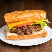 1/3 lb. Angus Hamburger on Kaiser Roll · 