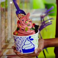 Cup of Frozen Yogurt · *Selections of non-dairy flavored Italian ice, no sugar added, and tart flavors may vary bas...