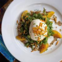 Beet Burrata Salad · Golden Beets, Dried Apricots, Toasted Almonds and Herbs.