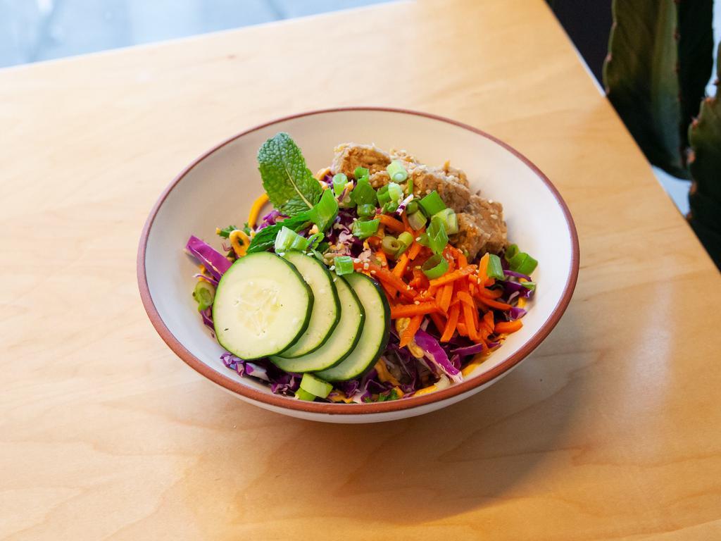 Vietnum Hot Bowl · Ginger sesame marinated tempeh, Sriracha cashew mayo, steamed kale and brown rice, purple cabbage, cucumber, pickled carrot, scallions, mint leaf, sweet chili sauce, and hemp seeds.