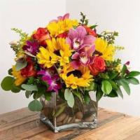 Celebration Arrangement · This vibrant arrangement adds a celebratory feel to all events and festivities!

-- Picture ...