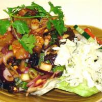 Y2. Duck Salad · Sliced of duck / ginger / red onion / scallion / pineapple / ground peanut / chili & lime ju...