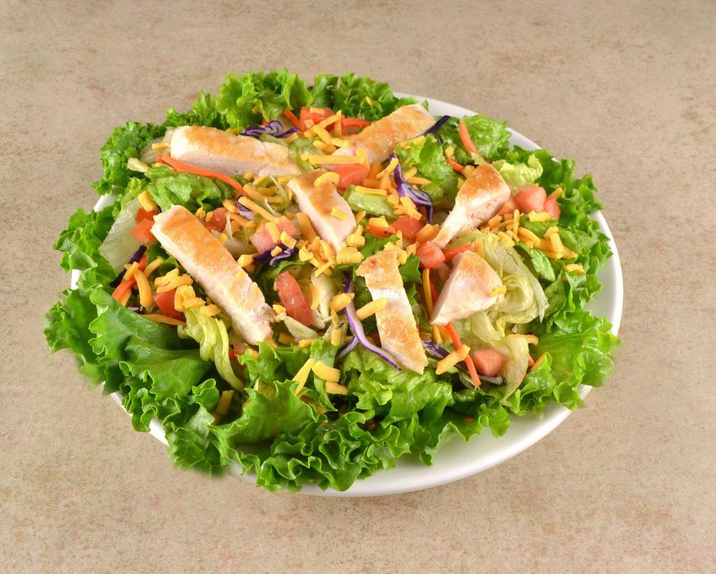 Grilled Chicken Breast Salad · Grilled, sliced chicken breast on lettuce with tomato, and cheddar cheese and choice of dressing.
