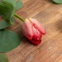 Tulips · Seasonal options may vary throughout the year and depending on location. Our florist will pr...