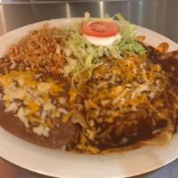 2 Enchiladas Combo Plate · Cheese, beef, or chicken enchiladas, served with rice and beans.
