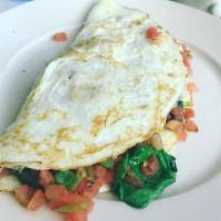 Atkins Special Omelette · Egg white, turkey, onion, tomato, and roasted pepper. Served with home fries and toast.