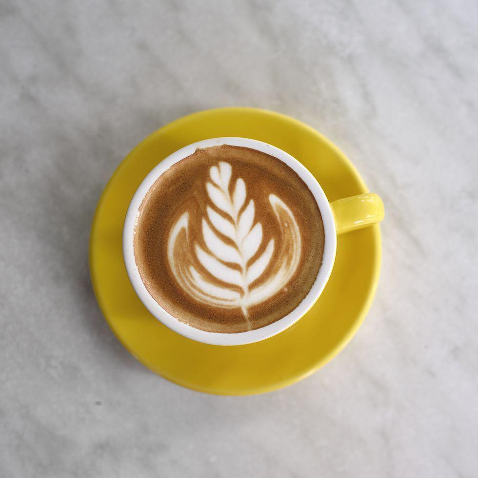 Caffe Latte · Local Coffee Spot is proud to offer our Caffe Latte! This dark, rich espresso is balanced with steamed milk and a light layer of foam. A perfect milk-forward warm-up.