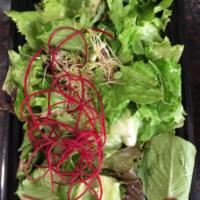 S4. Green Salad · Mixed greens with beets and alfalfa sprouts, with carrot-ginger dressing.