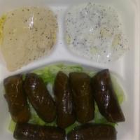 Grape Leaves Plate · Side of tzatziki and salad.