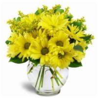 Daisy Dreams · What’s more uplifting than bright yellow daisies? Whether it’s to say thinking of you, thank...