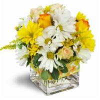 Sunshine Medley · Your sunniest sentiments will surely be conveyed with this charming arrangement of yellow da...