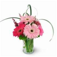 Think Pink · When you want to send flowers to the special lady in your life, think pink! Our think pink b...