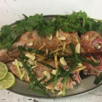 Steam Whole Red Snapper · Come with Chef's special sauce. served with White Rice