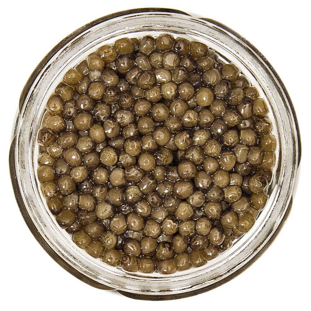 Royal Osetra (2oz) · Raised in Pristine Waters, the Steurgon Produce the Highest Grade Caviar with A Smooth Nutty Flavor
