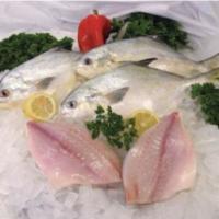 Wild Pompano Fillet (8oz) · As gastronomic people have described, the Floria pompano is the most edible fish in the worl...