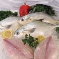 Whole Pompano (Apx 1.5lb) · Pompano meat is firm but finely flaked, with a sweet, mild flavor. The flesh is pearly white...