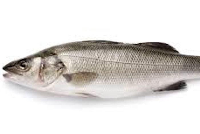 Whole Branzini (600/800) · Whole branzini, also known as Mediterranean sea bass, have a white flaky meat and a mildly sweet flavor. Great baked or broiled, the branzini’s firm and tasty white flesh holds up especially well on the grill.