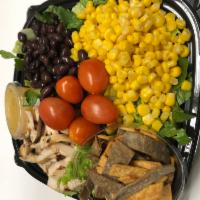 TEX - MEX SALAD · GRILLED CHICKEN W/ BLACK BEANS ,CORN, GRAPE TOMATOES, TORTILLA CHIPS  OVER ROMAINE LETTUCE &...