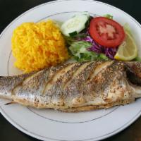 Bronzino · Whole fish. Choice of fried or broiled & served with choice of side.