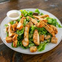 Grilled Chicken and Salad · 