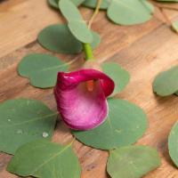 Lily · Seasonal options may vary throughout the year and depending on location. Our florist will pr...
