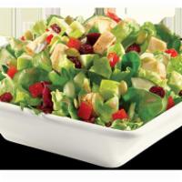 Apple Harvest Chicken Salad  · Honey-Dijon chicken salad, apples, dried cranberries, cucumbers, tomatoes, pumpkin seeds, ap...