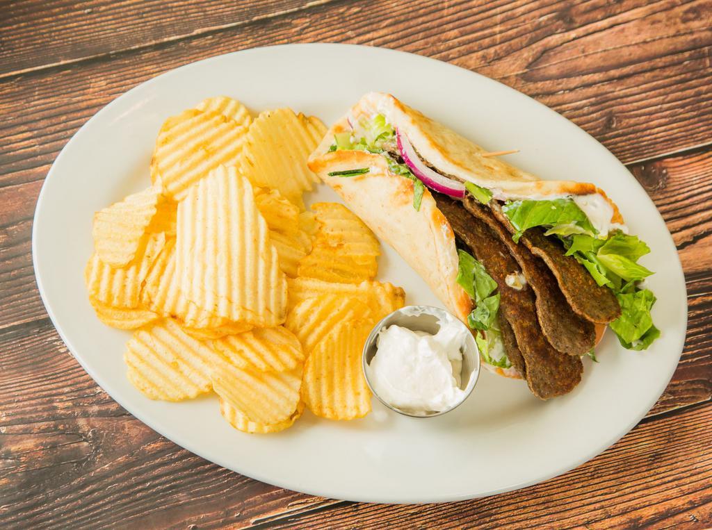 Gyro Sandwich · Gyro meat, lettuce, tomato, red onions, tzatiziki and warm pita bread.