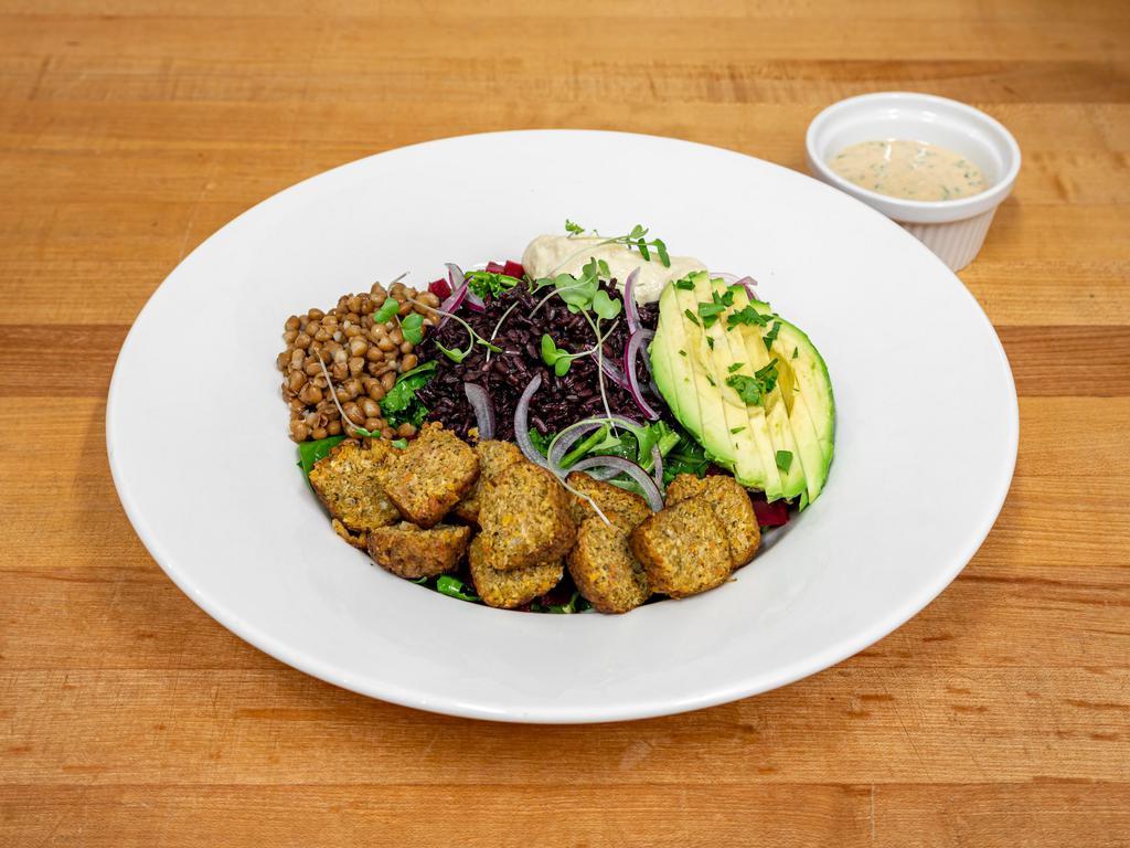 Baba`s Bowl Lunch · House falafel with a roasted beetroot, hummus, lentil & kale salad, along with wild rice and creamy tahini dressing. Gluten free.
