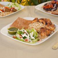 Chicken Breast Kabob · With salad or grilled tomatoes. Served with rice, naan bread, and chutney.