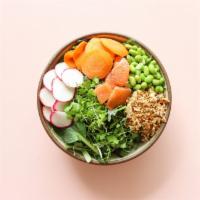 Morningside Salad · Planted Detroit Ingredients: pak choi, red streaks mizuna, sun shoots, kohlrabi microgreens,...