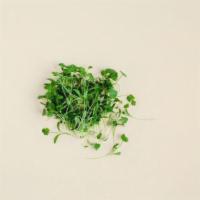 Cilantro  · (1 oz)
For Cilantro lovers ONLY
Planted Detroit grown greens: cilantro microgreens
Nutrients...