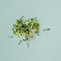 Sunflower Shoots · (4 oz)
They would become sunflowers if we didn’t eat them.
Planted Detroit grown greens: sun...