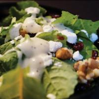 Baby Kale Salad · Baby Kale, goat cheese, walnut & Dry raisin mix, 3-4 thin apple slices, blue cheese dressing...