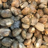 Manila Clams · One of our best sellers. Manila Clams can be ordered uncooked (raw), or cooked (with or with...