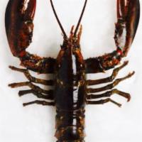 Live Eastern lobster · Eastern Lobster, also known as 