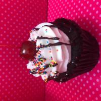 Hot Fudge Sundae Cupcake · Chocolate cake with fudge filling, vanilla buttercream frosting, fudge drizzle, rainbow spri...