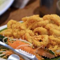14. Fried Calamari · Served with our homemade sauce, hot or mild. 