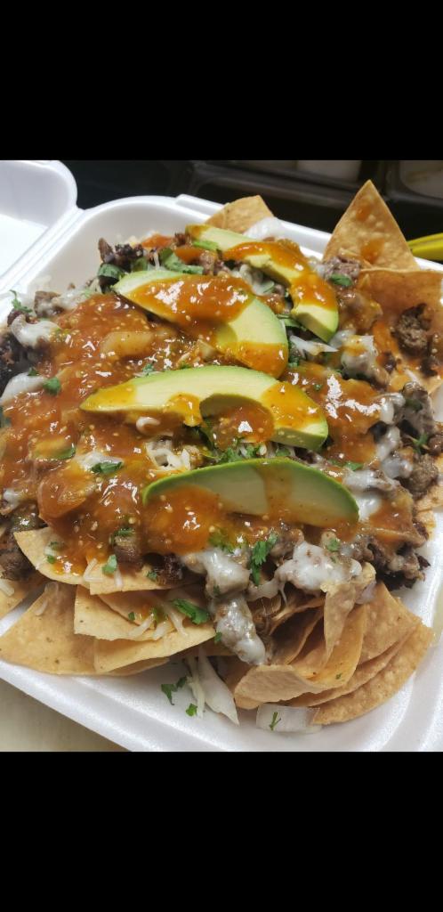 Loaded Nachos Plate · Protein: Your choice of seasoned steak, chicken or alpastor. Toppings: Fresh tomato, cilantro, onion and avocado, Monterey Jack cheese and a splash of salsa accompanied with whole pinto beans.