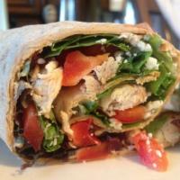 Grilled Chicken Wrap · Grilled chicken, lettuce, tomatoes, onions and mayo. 