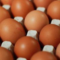 Eggs · Farmer Eggs - Dozen 