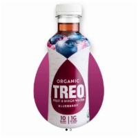 Organic TREO Fruit & Birch Water Blueberry · 16 FL OZ /473 ML plastic bottle
10 Calories per serving, 10 of sugar per serving 