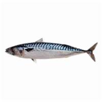 Mackerel 1.6 lb. - 2.4 lb. · 马鲛鱼 1.6LBS-2.4LBS