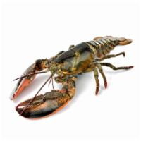 Live Lobster 1.2 lb. - 1.8 lb. · 生猛龙虾 1.2LBS-1.8LBS