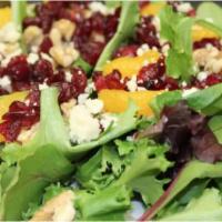 Summer Salad · Mesclun greens, blue cheese crumbles, walnuts, cranberries, mandarins and raspberry Vinaigre...