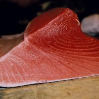 Toro · Fatty bluefin tuna belly.