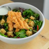 Southern Fried Chicken Salad · Tender Southern-style breaded chicken, homemade cornbread, dried cranberries, pepitas, and o...